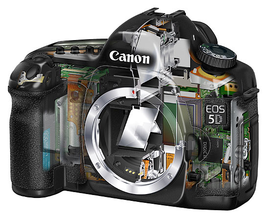 Canon 5D review roundup and sample images - Digital Photo News