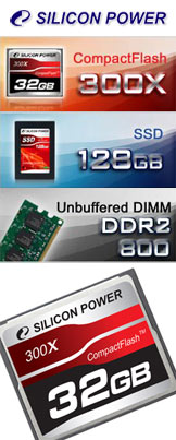 Silicon-Power