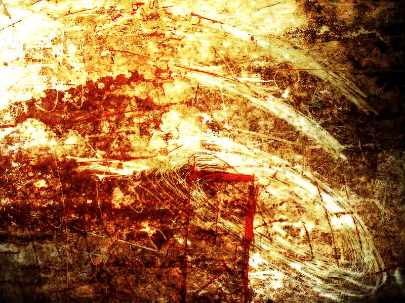 Digital Photo News - Your view in digital photography