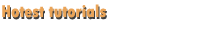 Hotest tutorials on Digital Photo News